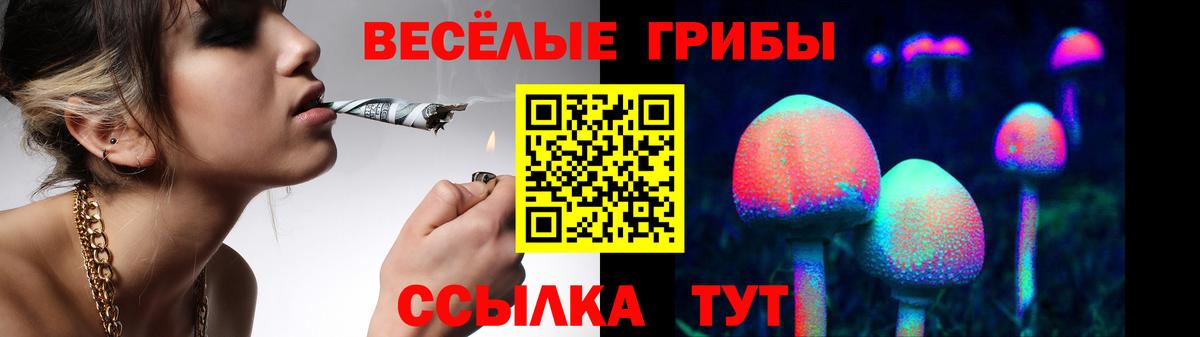 Псилоцибиновые грибы Psilocybe  Вход с VPN  Химки  Галлюциногенные грибы GOLDEN TEACHER 